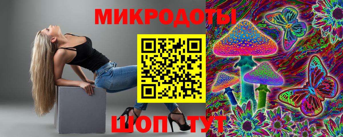 Псилоцибиновые грибы мицелий Камышин